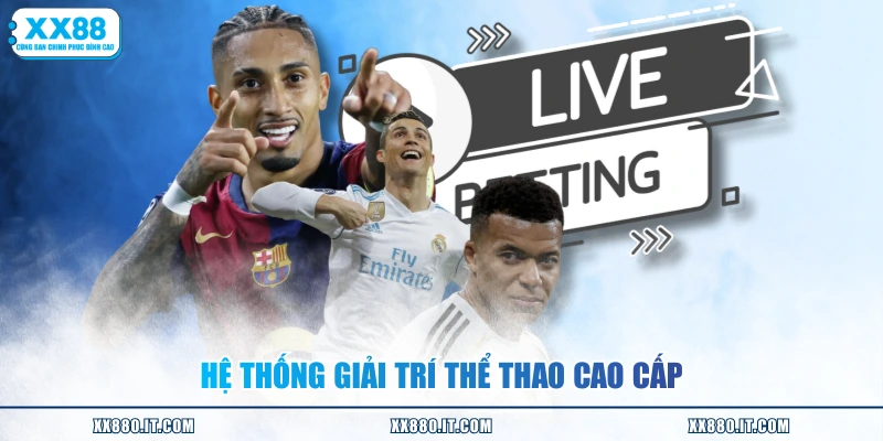 Hệ thống giải trí thể thao cao cấp